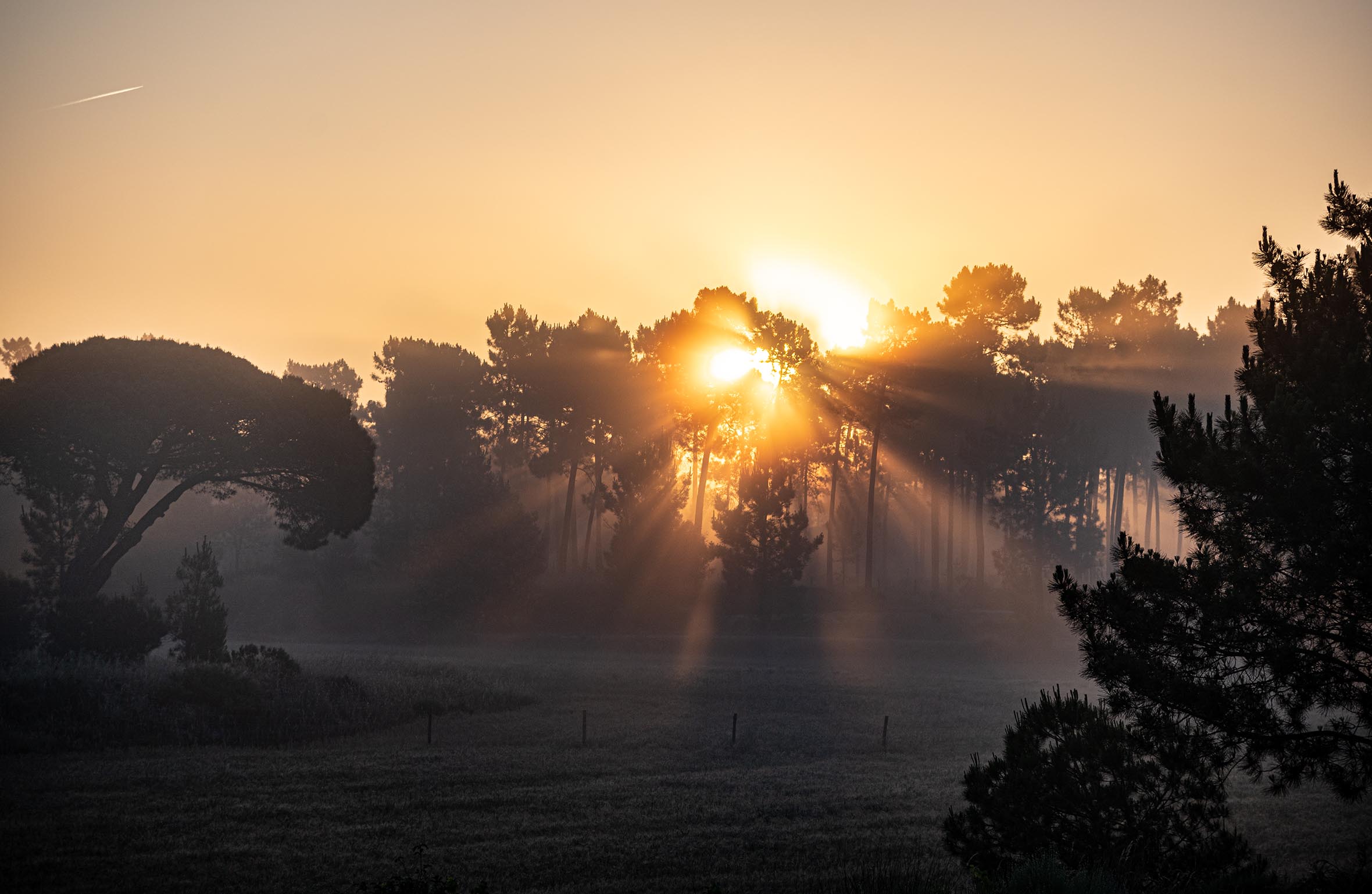 Terrasweet farm — sunrise over Comporta