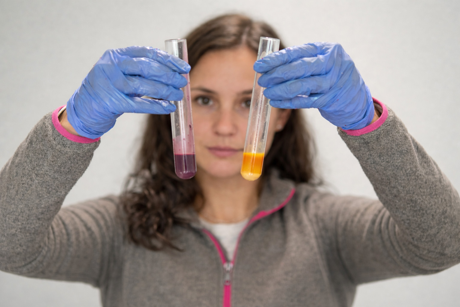 Genetics — sweet potato variety selection