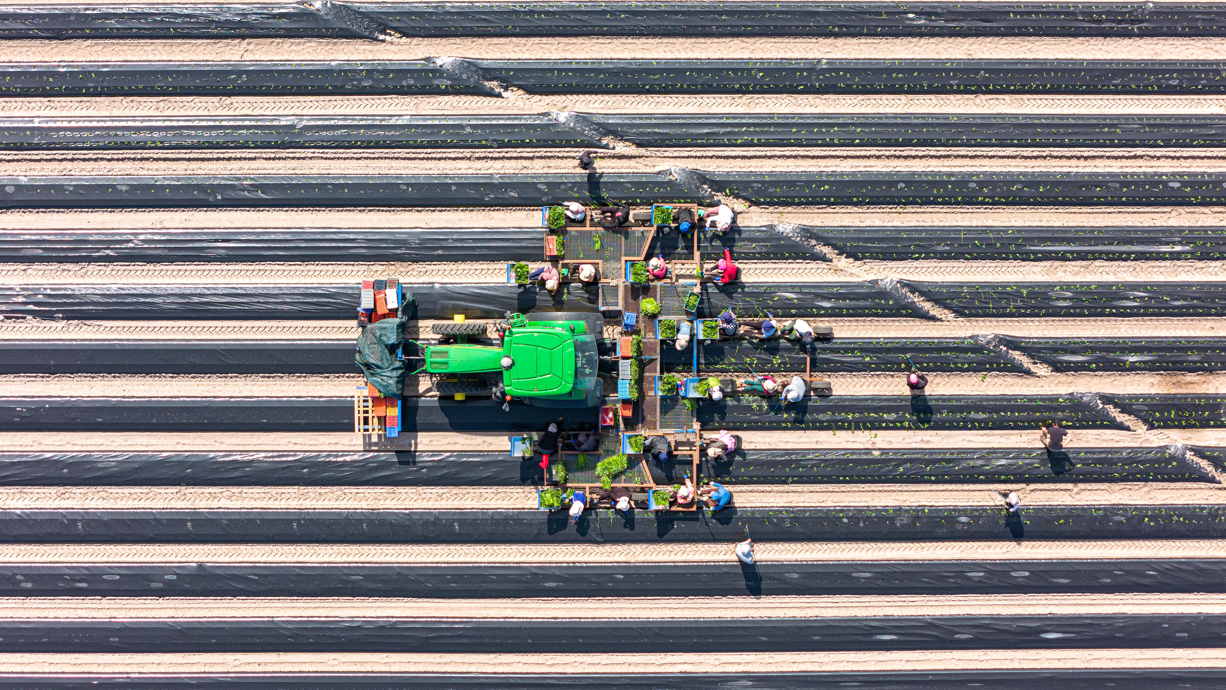 Precision planting operations